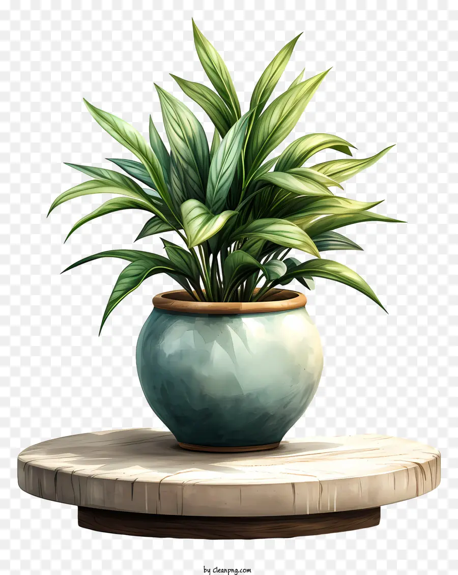 Plantar，Planta Em Vaso PNG