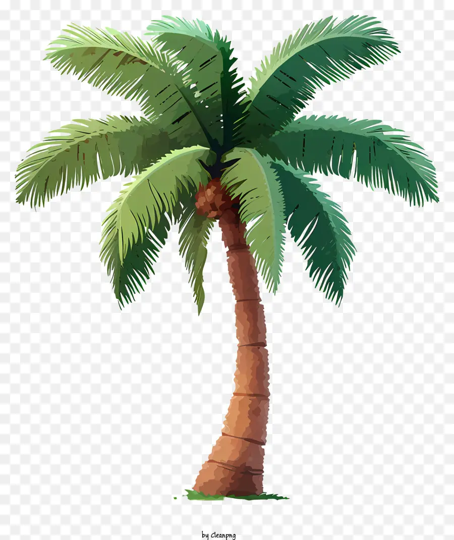 Árvore De Coco Plana，Ilustração Da Palmeira PNG