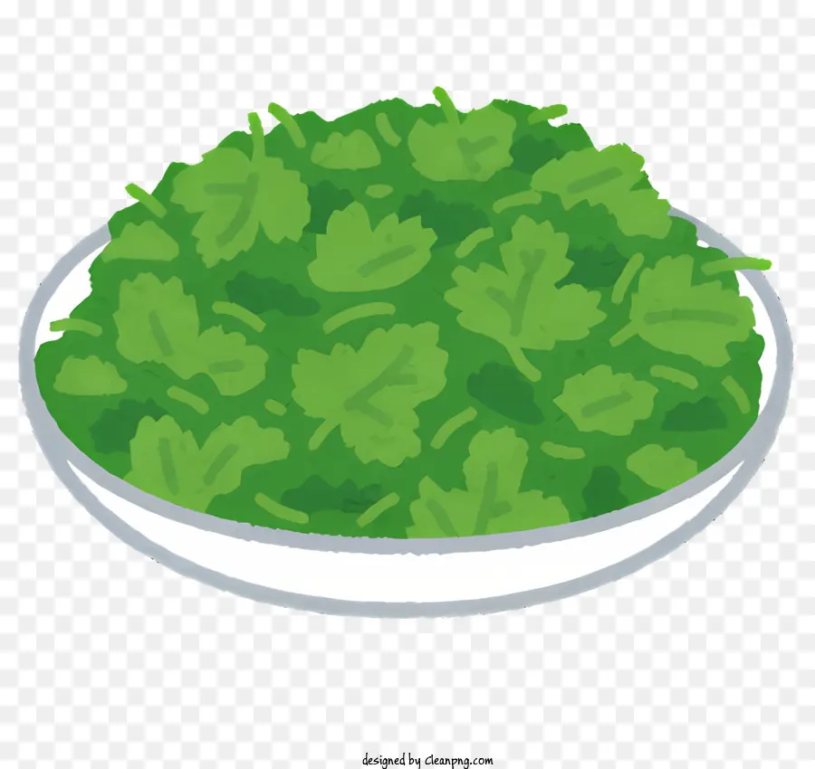 Vegetal，Salada PNG