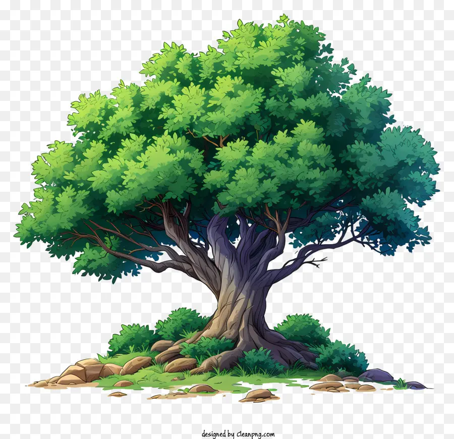 Árvore Grande Plana，Oak Tree PNG