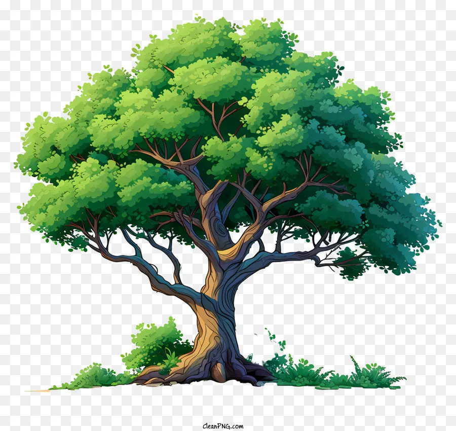 Árvore Grande Plana，árvore PNG