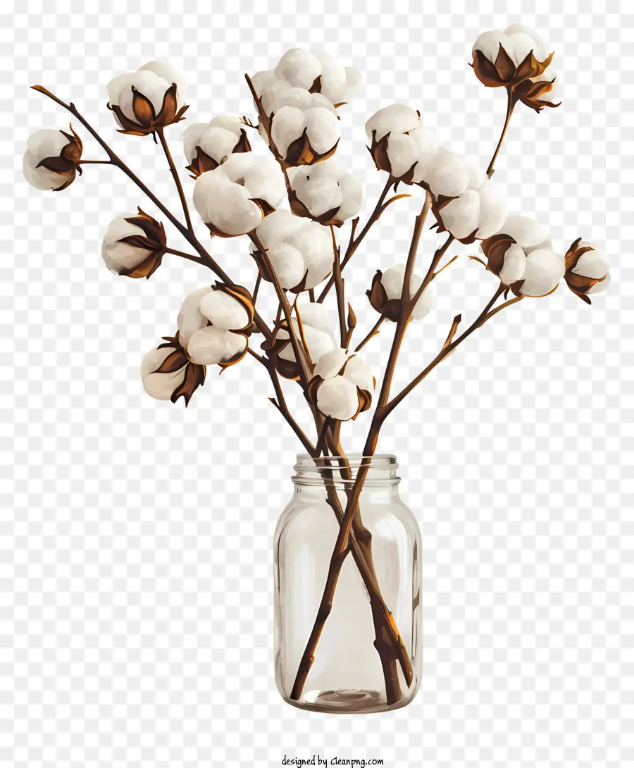 Flores De Algodão，Vaso PNG