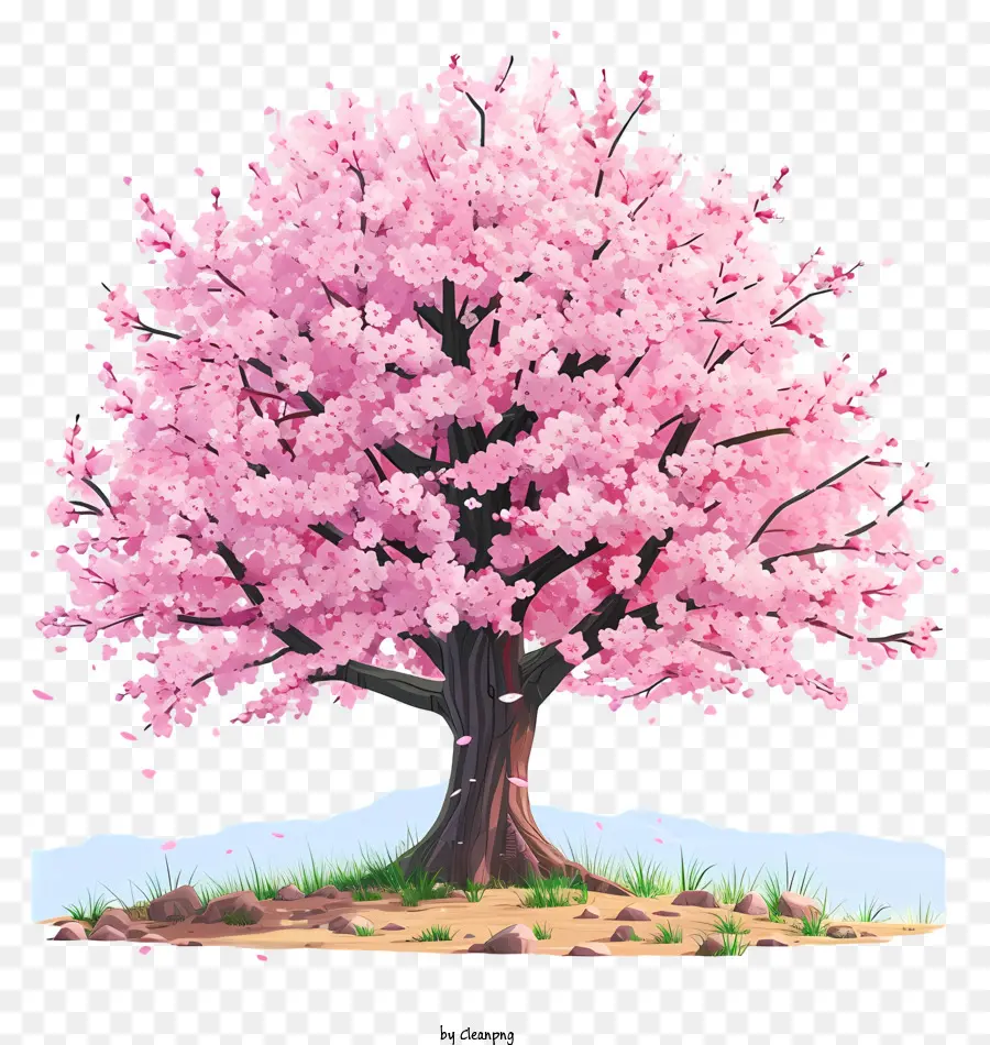 Árvore De Flores De Cerejeira Desenhada à Mão，árvore Rosa PNG