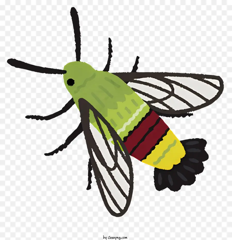 Erro，Mariposa Colorida PNG