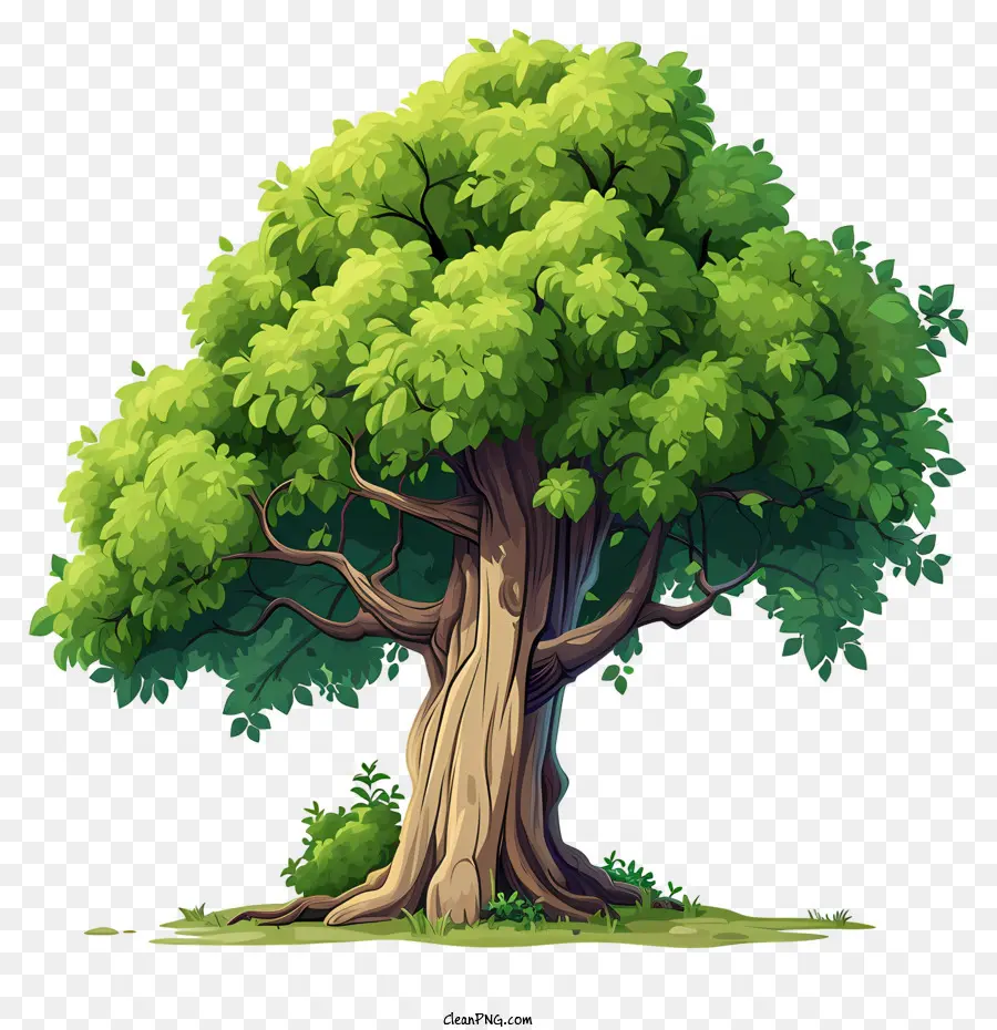 Árvore Grande Estilo Doodle，árvore PNG