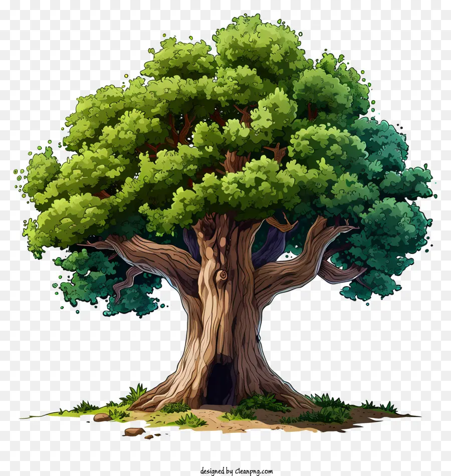 árvore Grande Desenhada à Mão，árvore Velha PNG