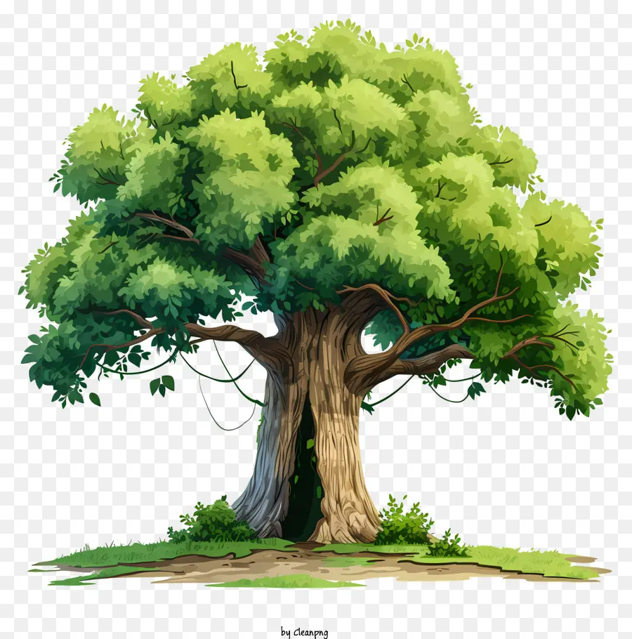 Árvore Grande Em Aquarela，árvore PNG