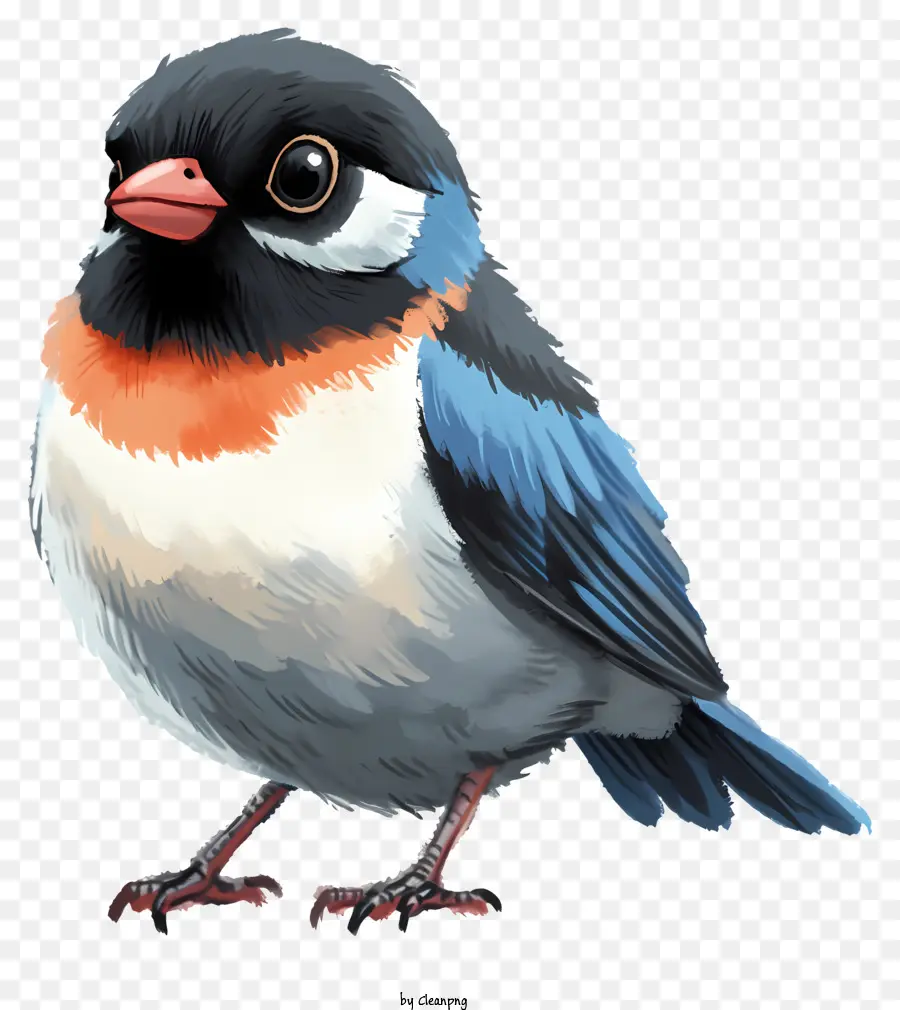 Bird De Estilo Doodle，Pássaro Azul PNG