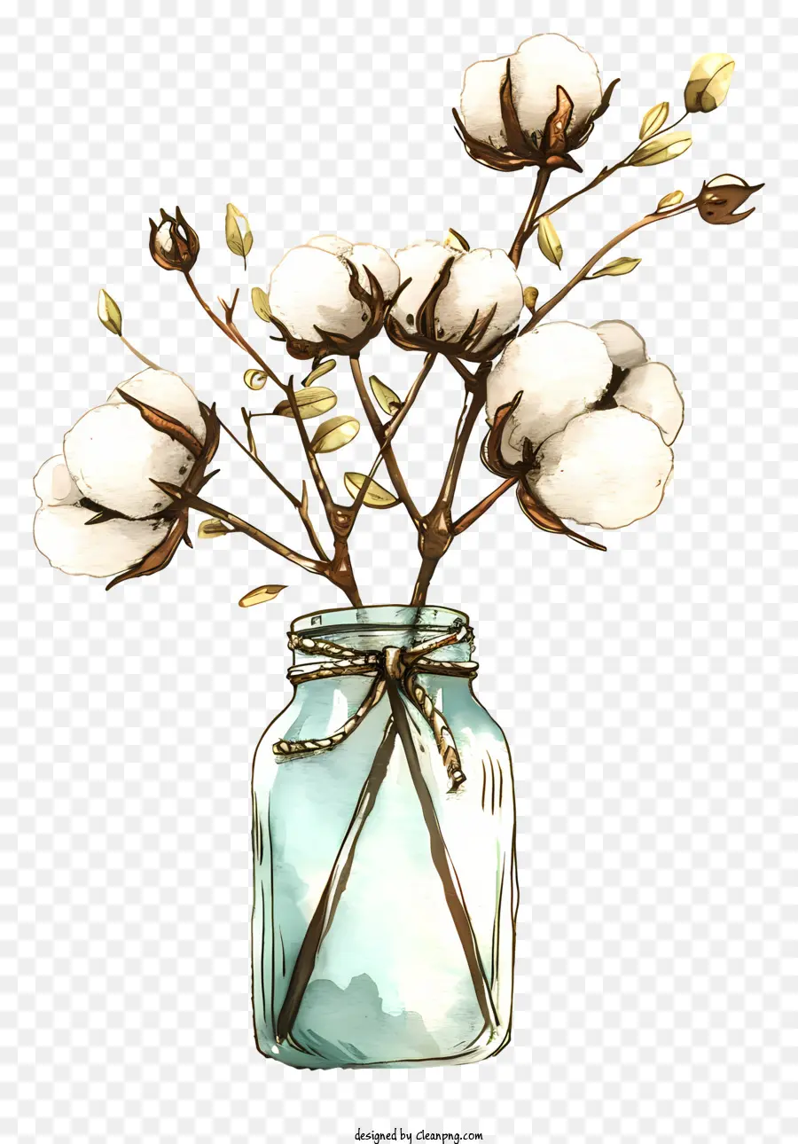 Flores De Algodão，Flores De Algodão Branco PNG