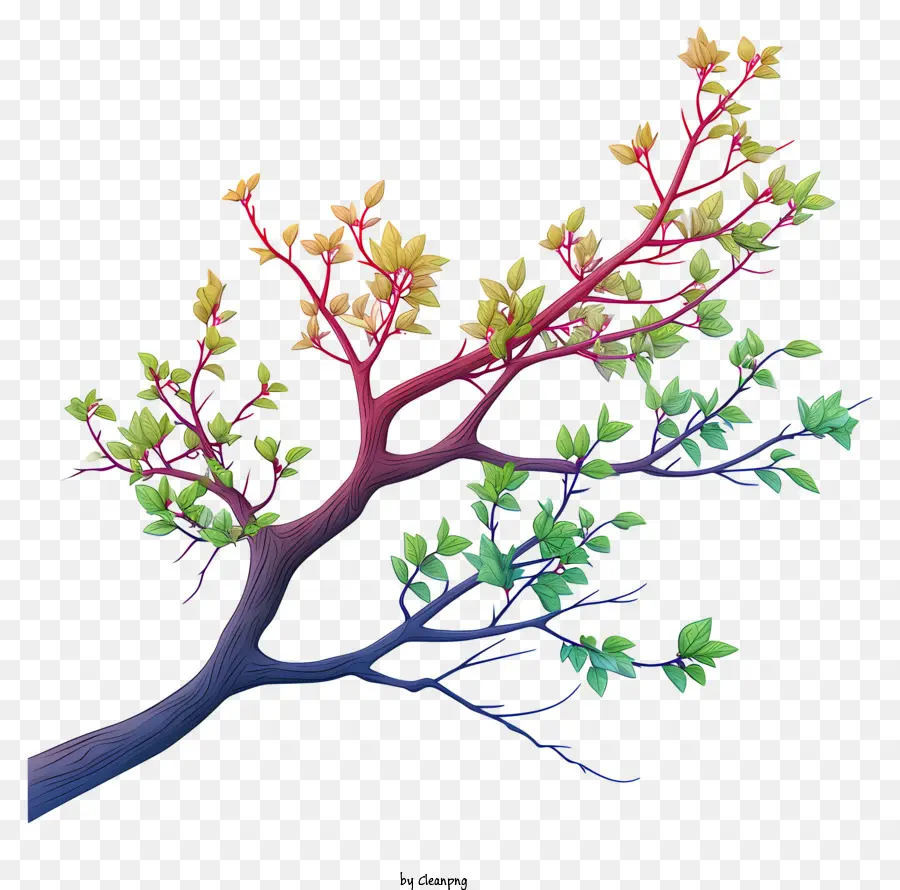 Galho De árvore Pastel，Colorido árvore PNG