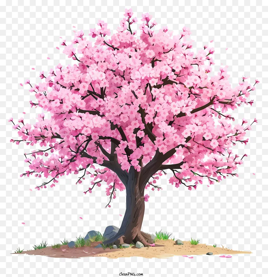 Árvore De Flores De Cerejeira Desenhada à Mão，Árvore De Flor De Cerejeira Rosa PNG