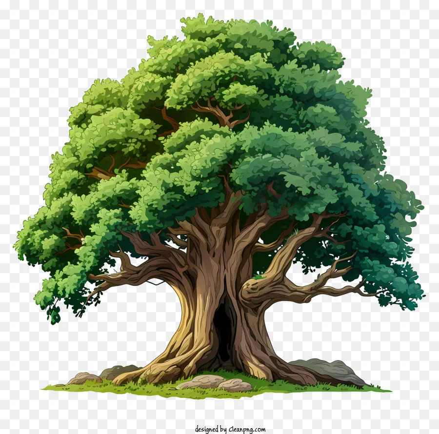 árvore Grande Desenhada à Mão，árvore Verde PNG