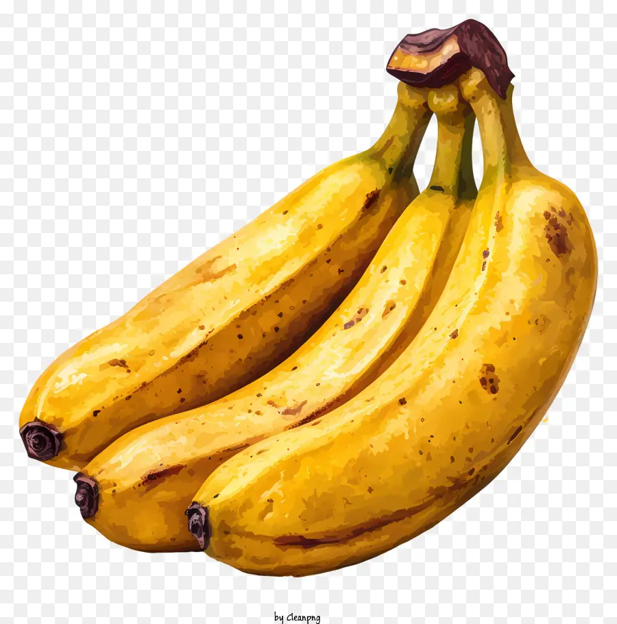 Banana，Bananas Maduras PNG