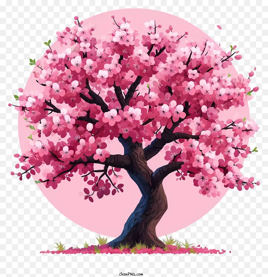 árvore De Flor De Cerejeira Desenhada à Mão，Árvore De Flor De Cerejeira Rosa PNG