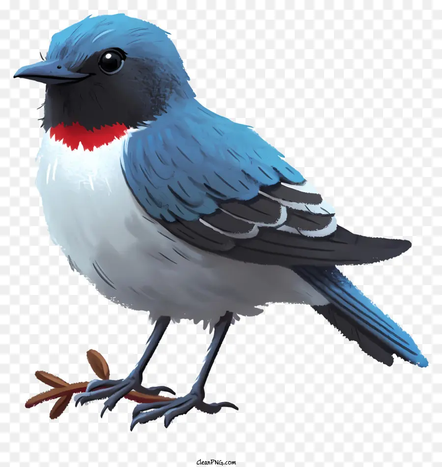 Pássaro De Estilo Realista，Aves PNG