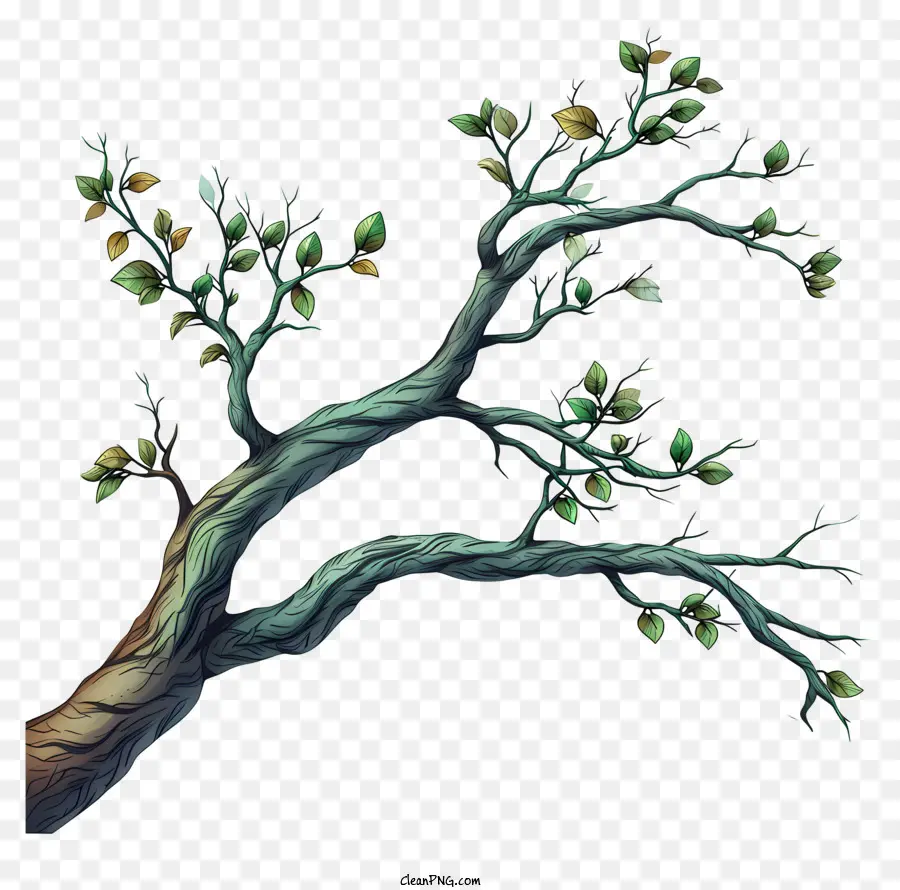 Galho De árvore Desenhado à Mão，árvore PNG