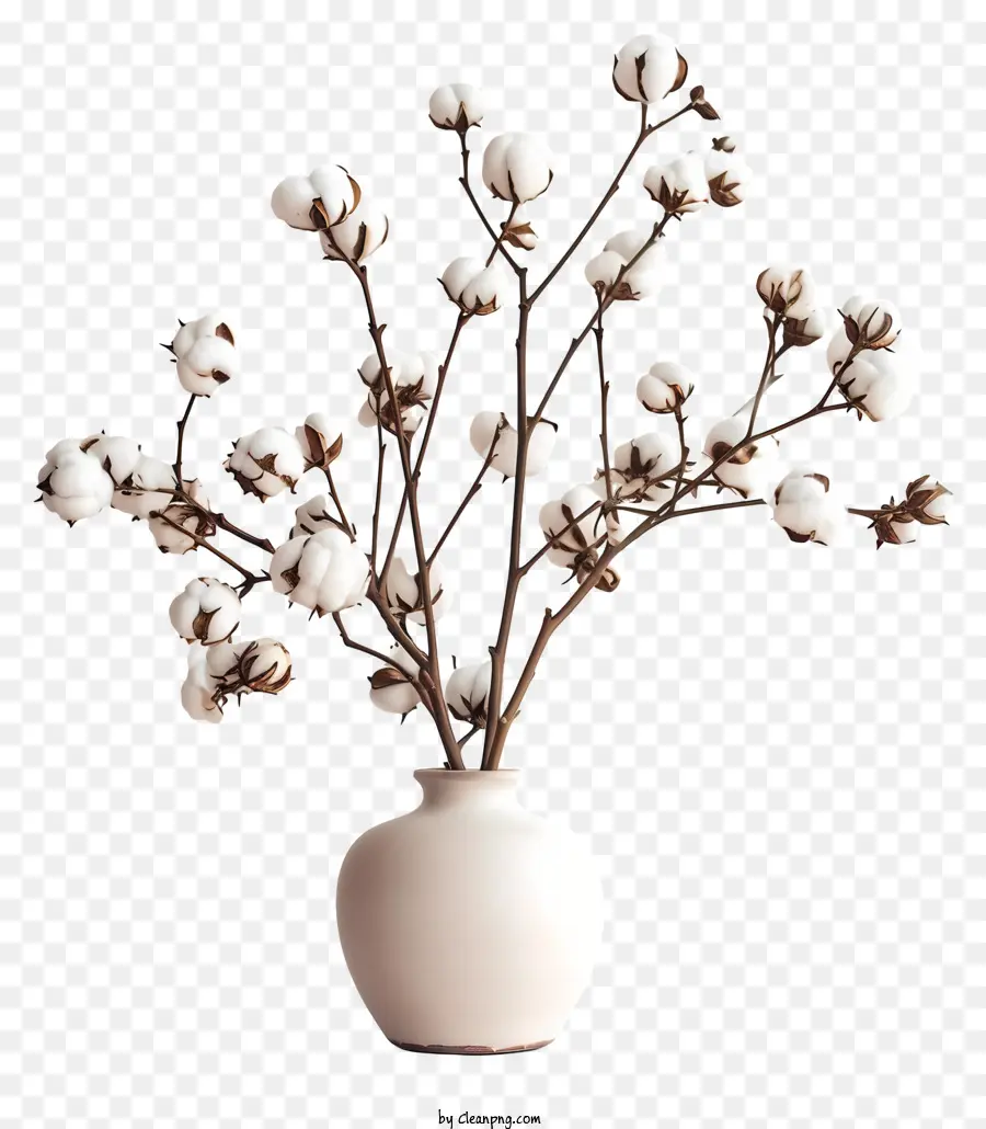 Flores De Algodão，Vaso Branco PNG