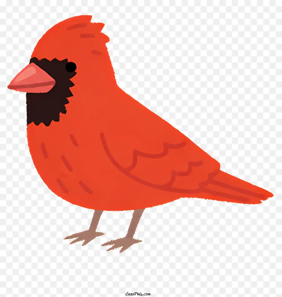 Aves，Pequeno Pássaro Vermelho PNG