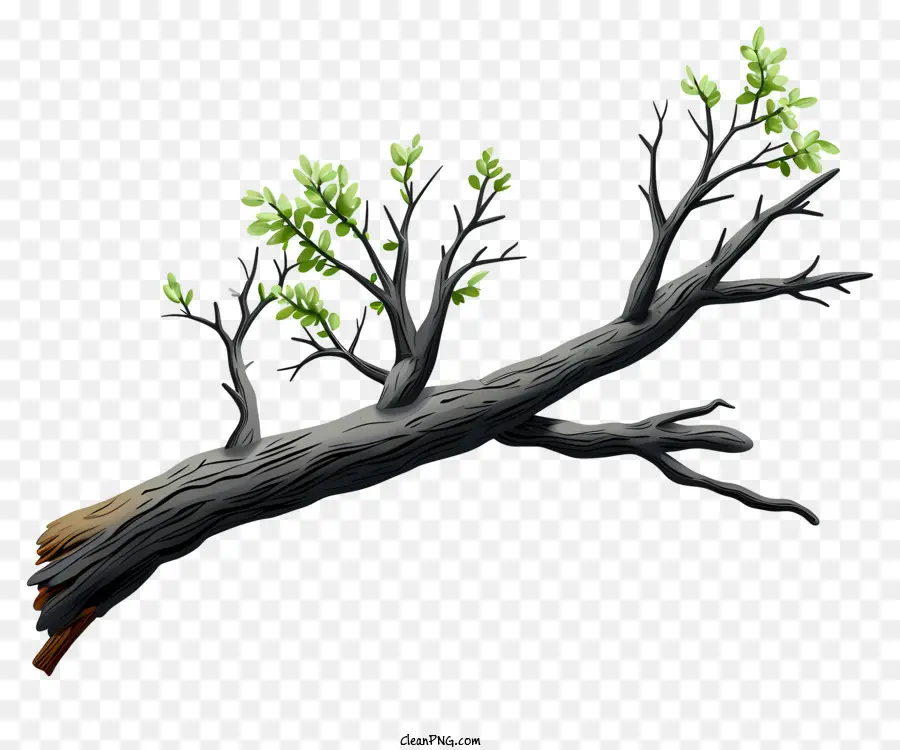 Galho De árvore De Estilo De Esboço，Galho De árvore Morta PNG
