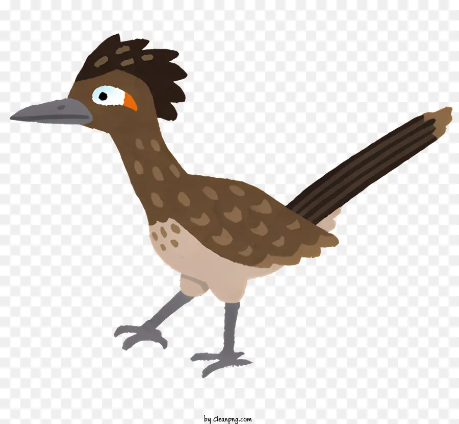 Aves，Cartoon Pássaro PNG