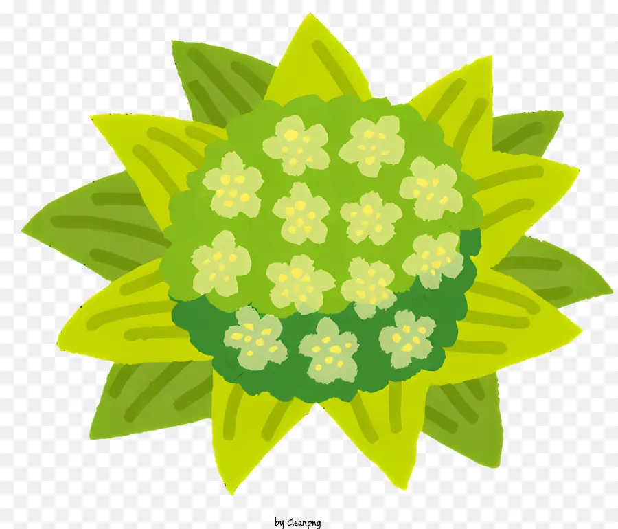Flor De Folhas Verdes，Flores Brancas PNG