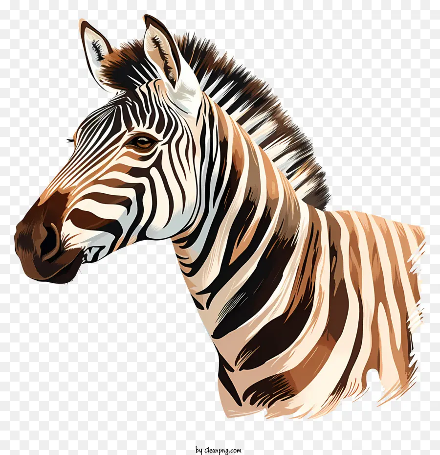 Zebra，Desenho De Zebra PNG