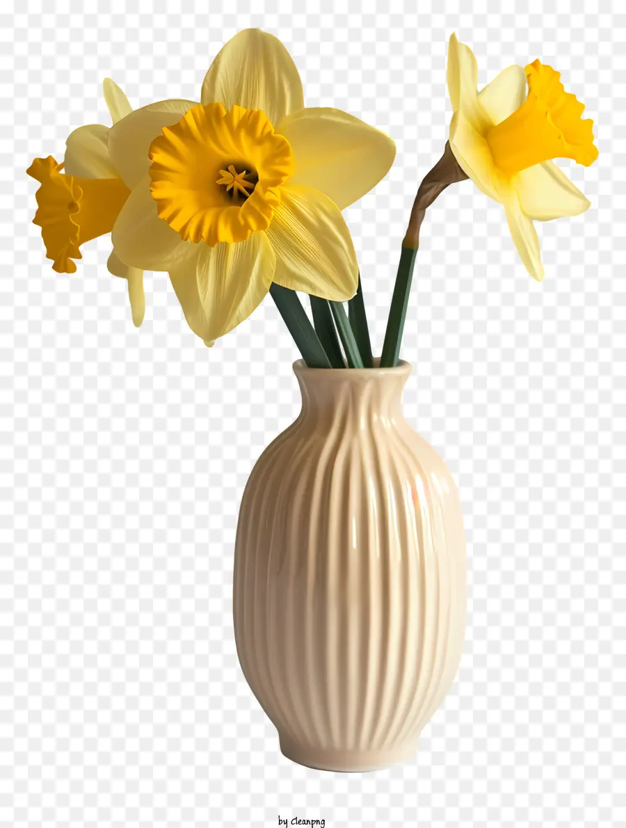 Narciso，Vaso Branco PNG