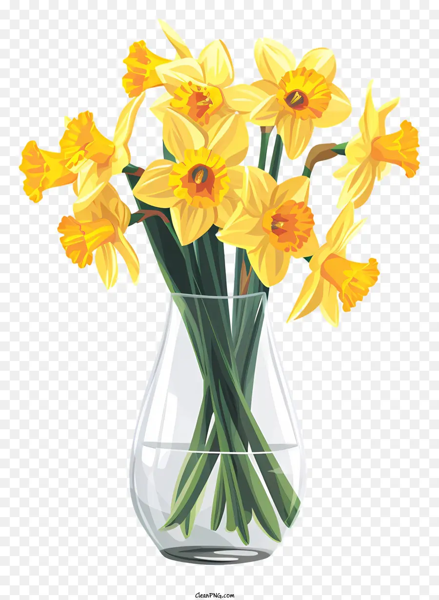 Narciso，Narcisos Amarelos PNG