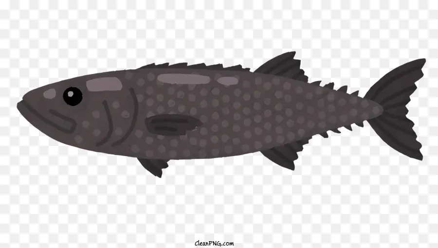 Peixe，Peixe Preto PNG