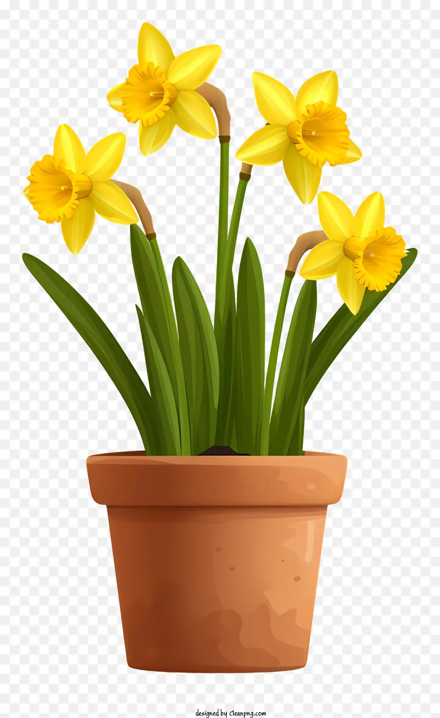 Narciso，Vaso De Flores De Cerâmica PNG