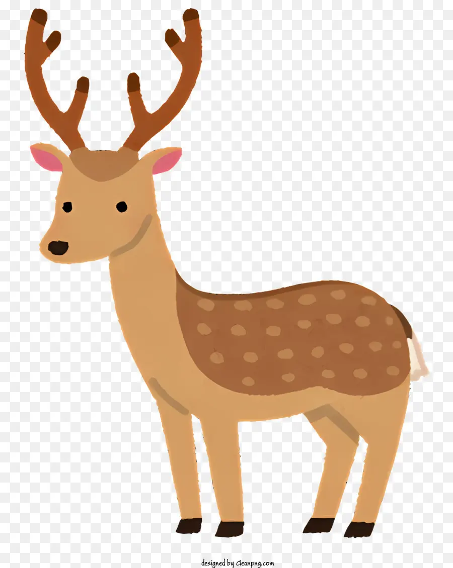 Animal，Cervo PNG