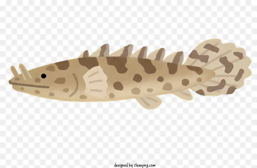 Peixe，Cartoon Peixe PNG