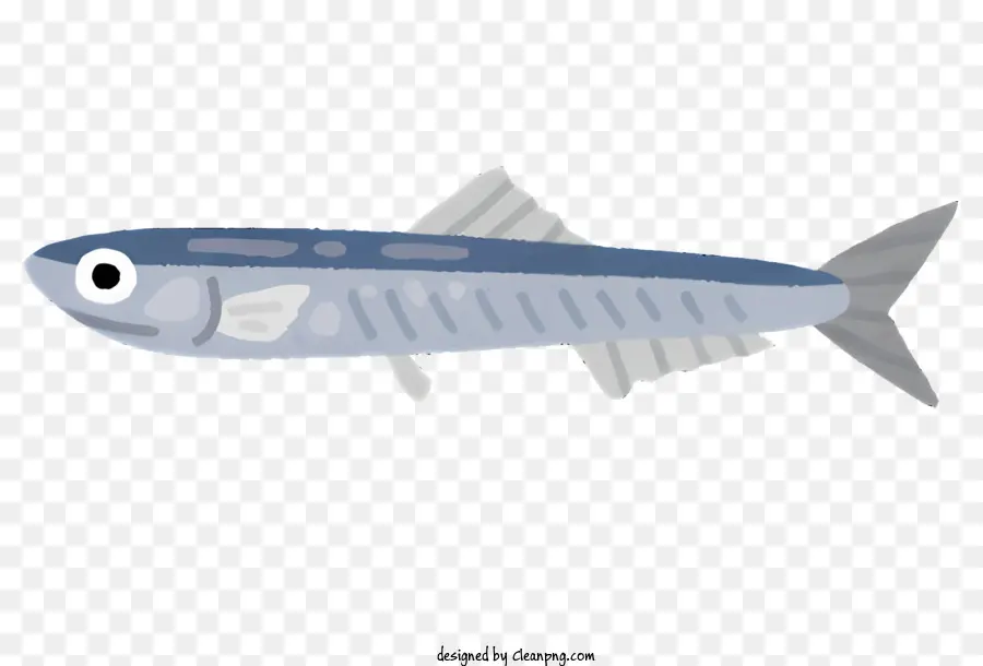 Peixe，Corpo Azul Escuro PNG