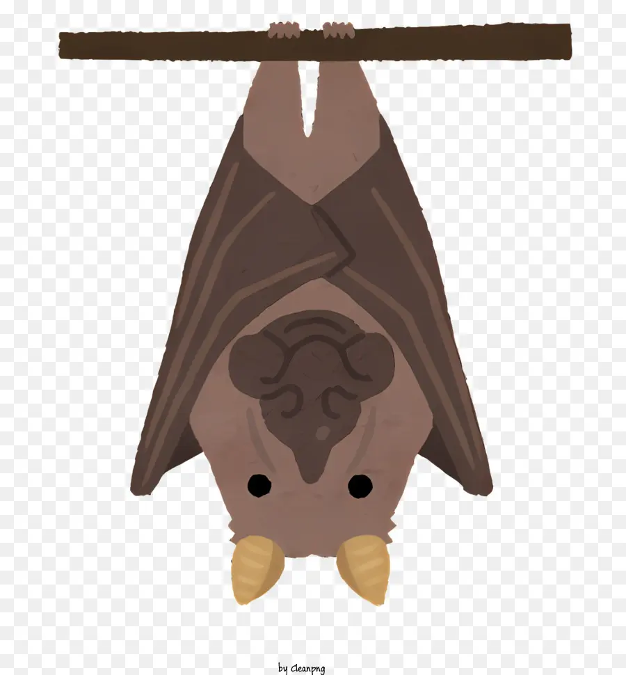 Animais，Bat PNG