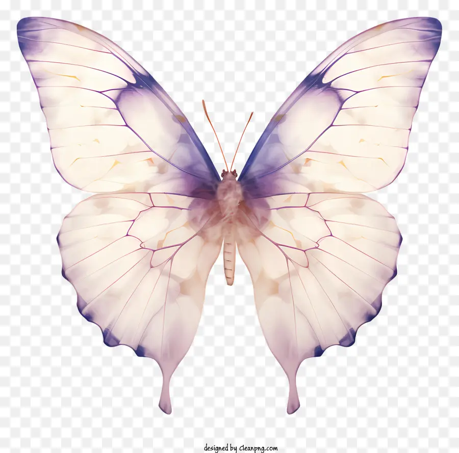 Borboleta，Purple Butterfly PNG