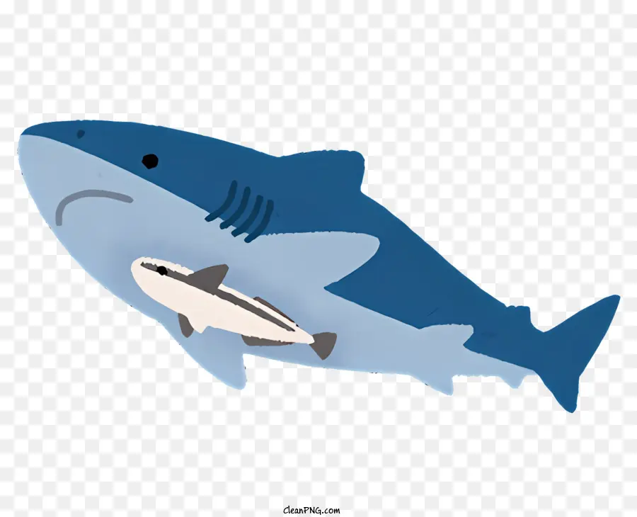 Peixe，Cartoon De Tubarão PNG