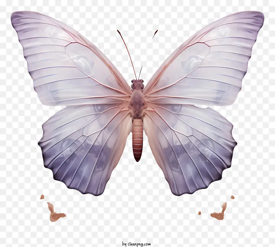 Borboleta，Purple Butterfly PNG