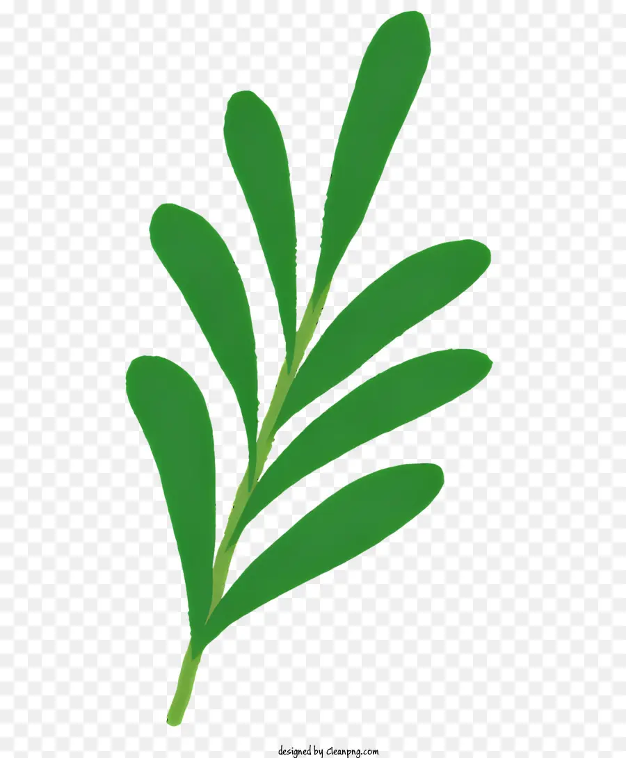 Planta Verde，Planta Frondosa PNG