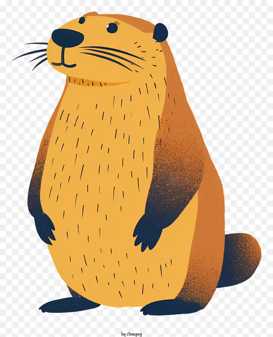 Marmota De Desenho Animado，Marmota PNG