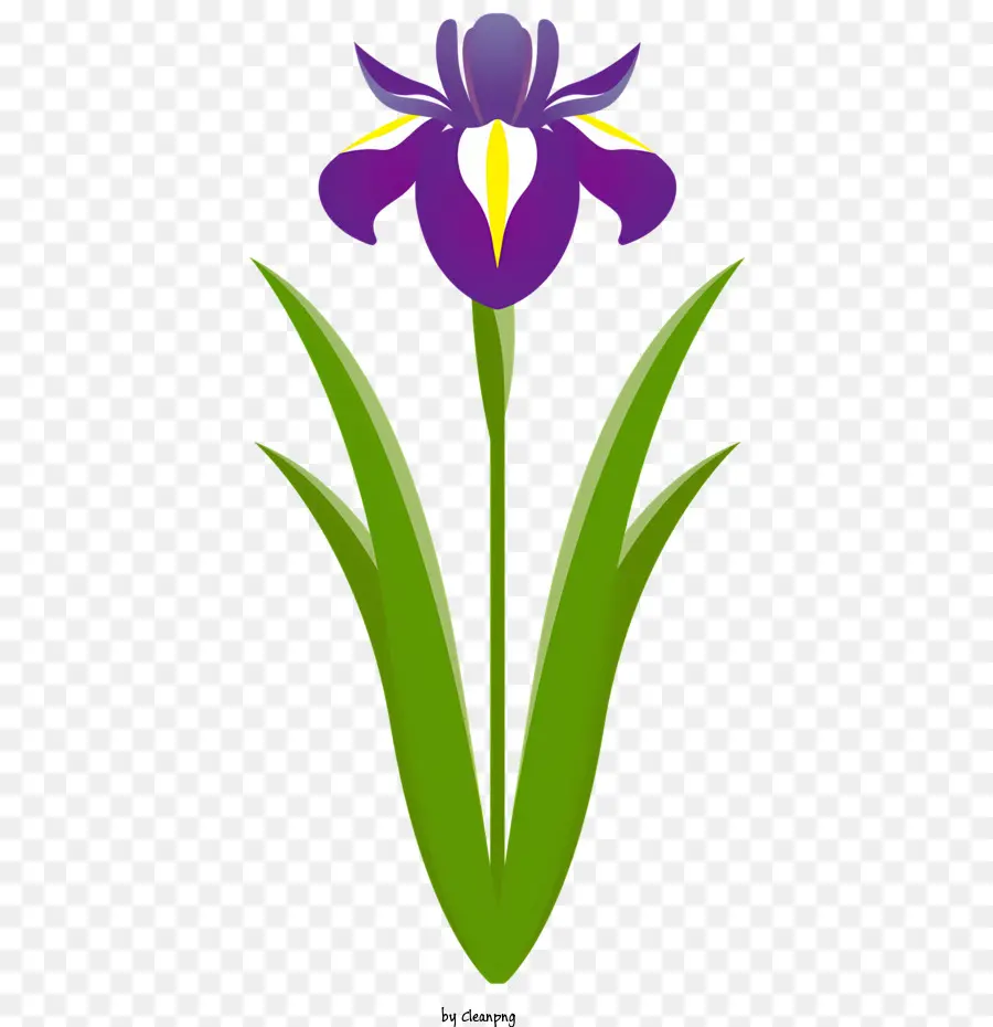 Flores，Flor De Iris PNG