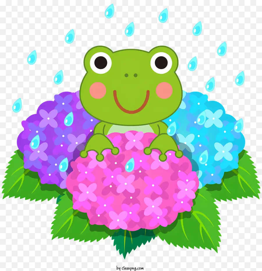 Chovendo Flores，Sapo PNG