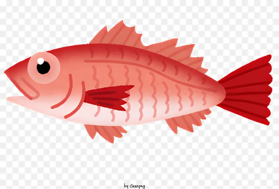 Peixe，Peixe Vermelho PNG