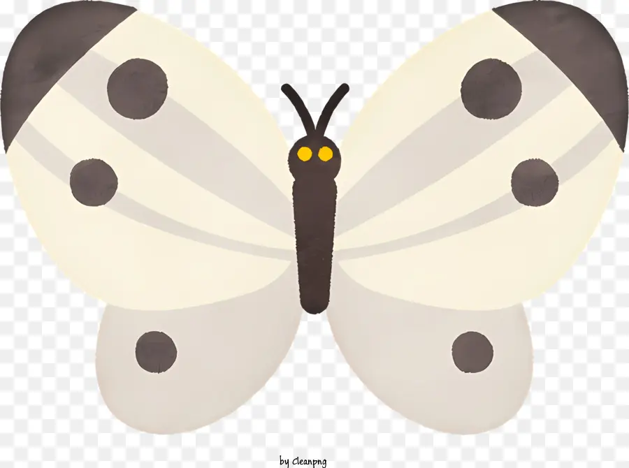 Borboleta，Borboleta Branca PNG