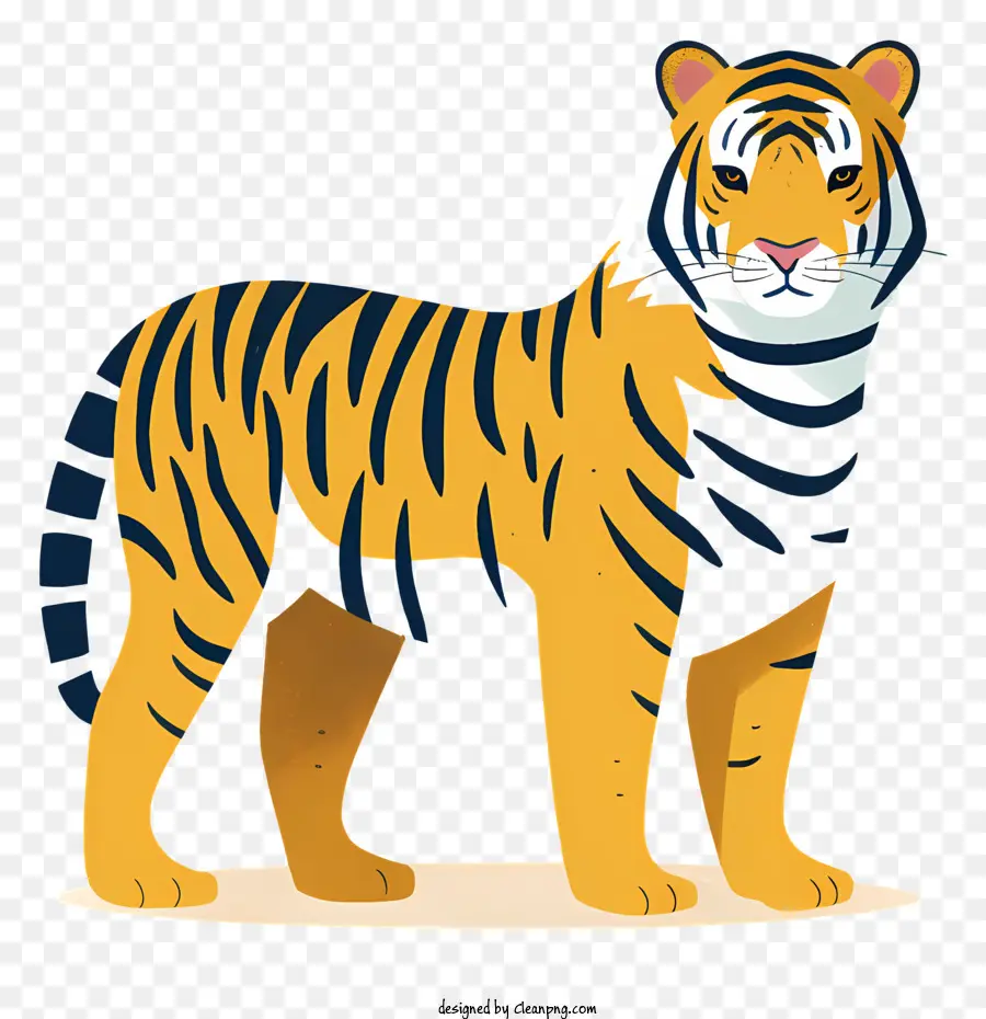 Tigre，Tigre Ilustração PNG