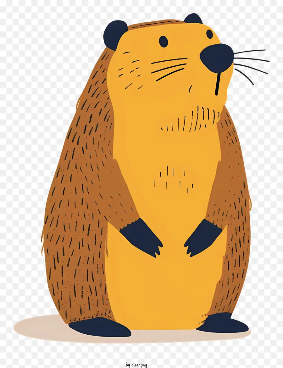 Marmota De Desenho Animado，Marmota PNG