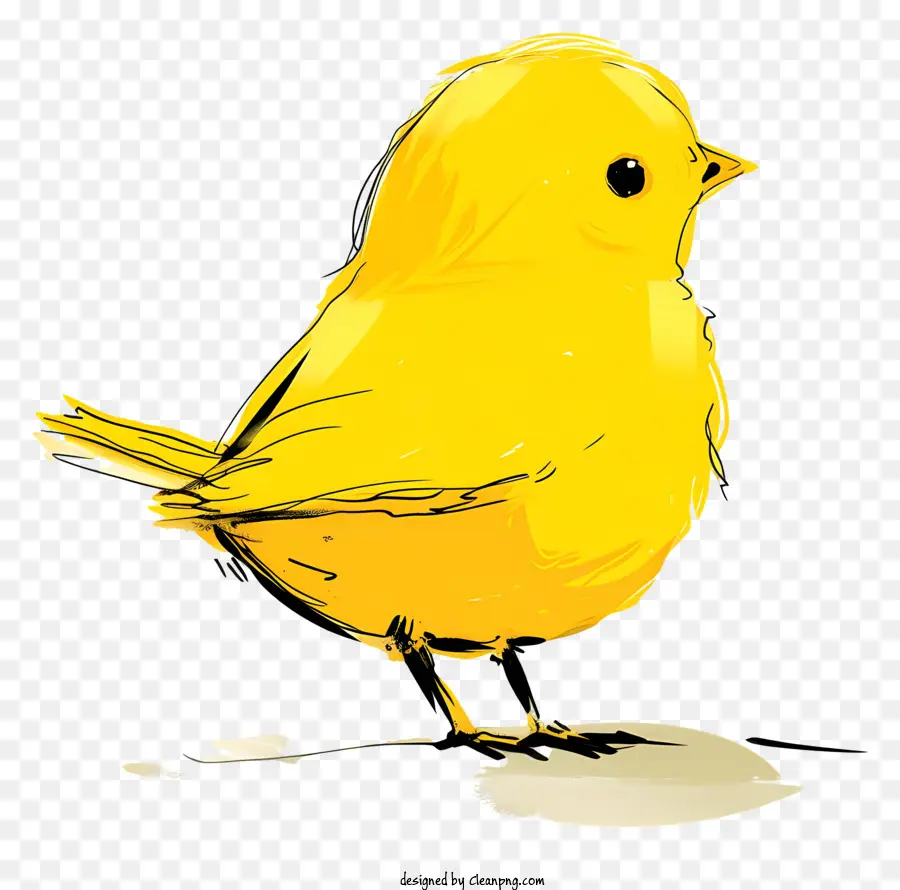 Cartoon Pássaro，Pássaro Amarelo PNG