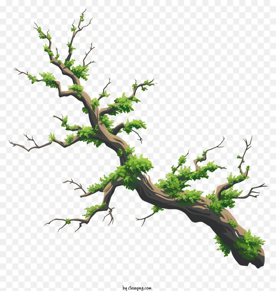 Ramo E Musgo，árvore Morta PNG