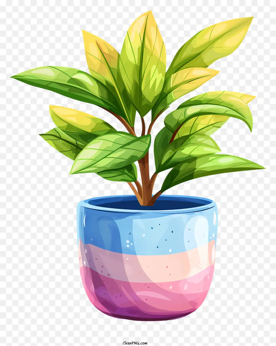 Moderno Vaso De Flores，Planta De Vaso PNG