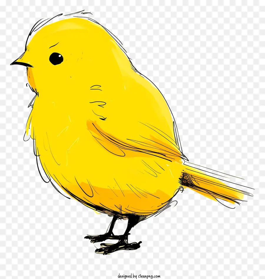 Cartoon Pássaro，Pássaro Amarelo PNG