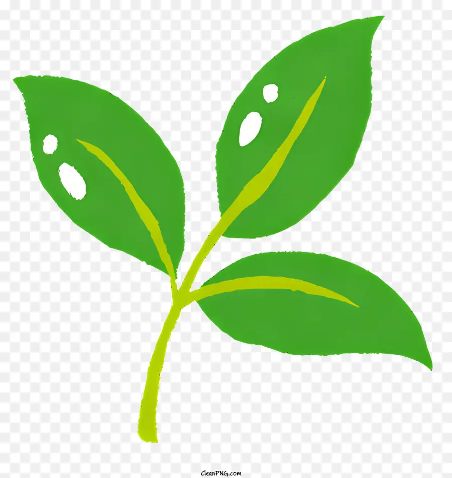 Folha Verde，Planta PNG